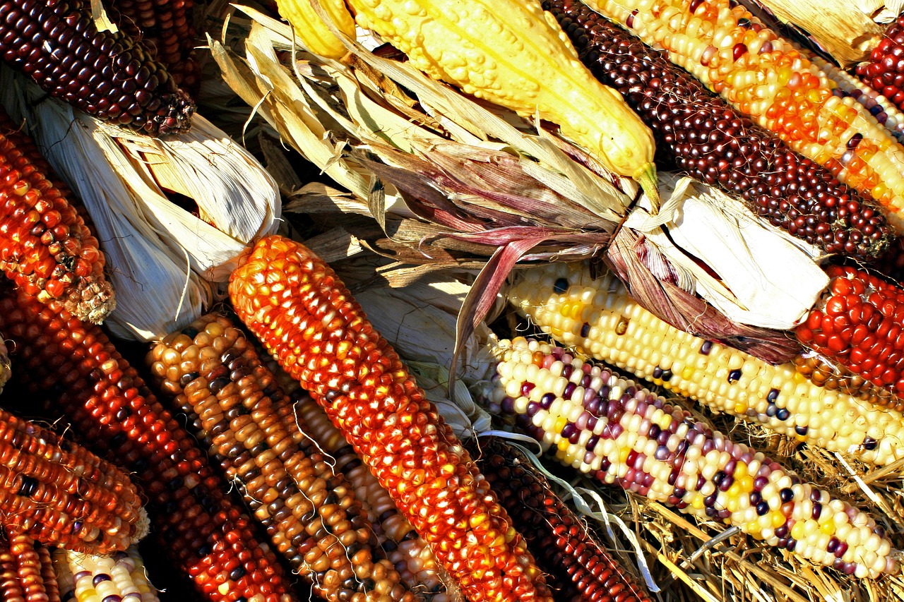 Conserving Biodiversity - Why Each Species Matters
